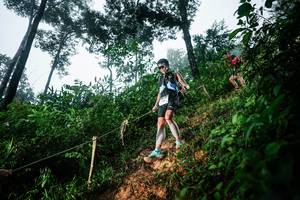 BIB: 
                            <button type="button" onclick="openModal(26202390)" class="btn btn-primary btn-sm float-right btn-popup" data-toggle="modal" data-target=".modal-high-quality">
                        <i class="fas fa-shopping-cart"></i> Add to Cart
                    </button>
                                            <button type="button" onclick="isThisMe(26202390, true)" class="btn btn-success btn-sm float-right btn-popup btn-isme hidden" data-toggle="tooltip" data-placement="bottom" title="นี่คือรูปของคุณใช่ไหม คลิกที่นี่เพื่อเอาเข้าอัลบั้ม">
                        <i class="fas fa-plus"></i> Add to album
                    </button>
                    <button type="button" onclick="isThisMe(26202390, false)" class="btn btn-warning btn-sm float-right btn-popup btn-isnotme hidden">
                        <i class="fas fa-ban"></i> Remove from album
                    </button>